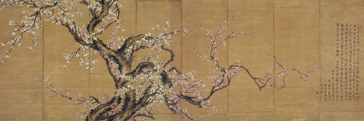 Red and White Plum Blossoms 1