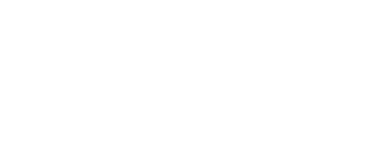 POSCO STEELEON